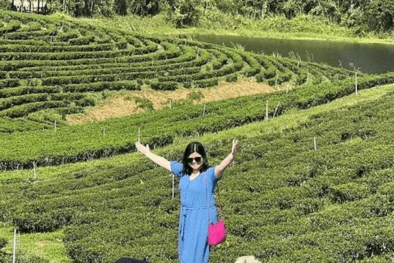 chiang rai and golden triangle